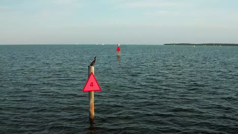 a cormorant perches on a channel marker post, surrounded by gently rippling water