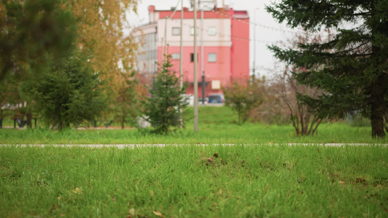 Background featuring grass, poles, and building with lady jogging on street path wearing black leggings, athletic woman in motion with focus on outdoor jogging in urban setting