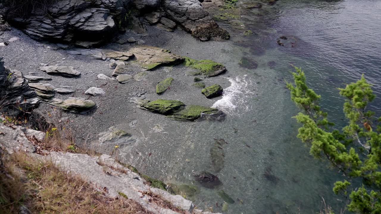 Una costa rocciosa panoramica con massi coperti di muschio, acqua limpida e poco profonda, e una persona che nuota in una baia tranquilla circondata da vegetazione.