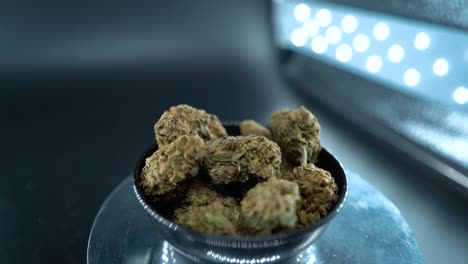 un zoom macro cinematográfico detallado movimiento suave de la grúa toma de una planta de cannabis, cepas híbridas de naranja, tipo indica, flor de marihuana, cámara lenta 120 fps, luces de estudio, soporte giratorio de brillo