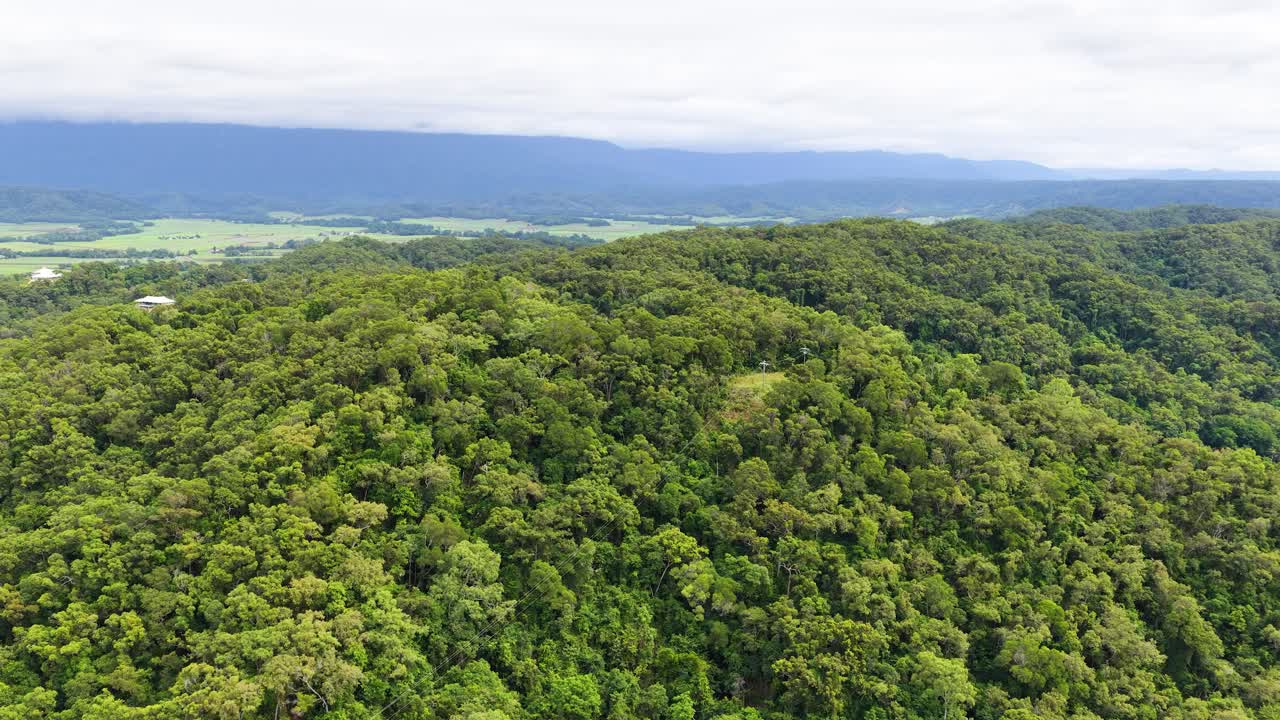 Drone glides above lush rainforest, revealing coastline, winding road, and calm ocean under daylight