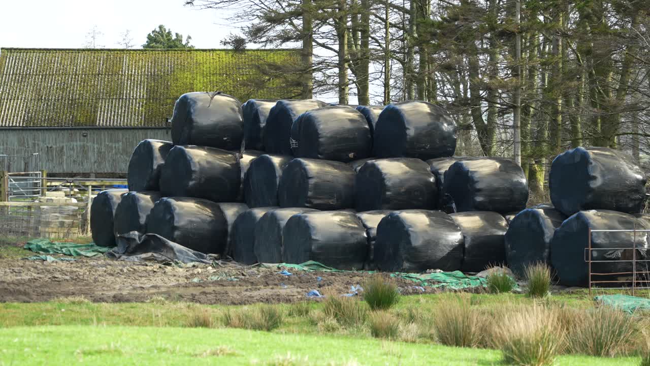 Stabel med svarte siloballer på en gård på den britiske landsbygda.