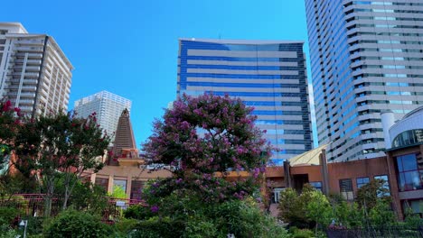 modern city skyline with a blooming garden and pink flowers beneath bright blue sky