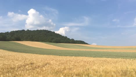 harvest time