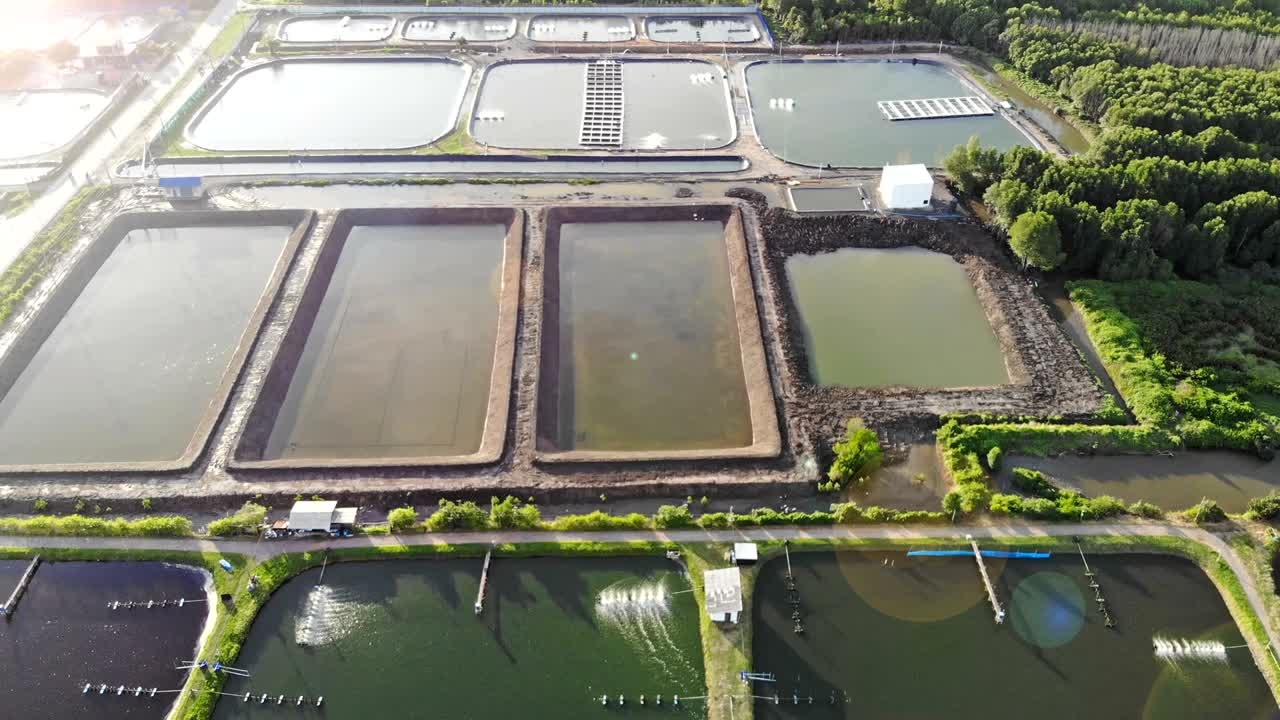 새우 농장은 수출과 국내 소비를 위한 경제 동물입니다.