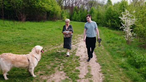 couple walking in park with dog