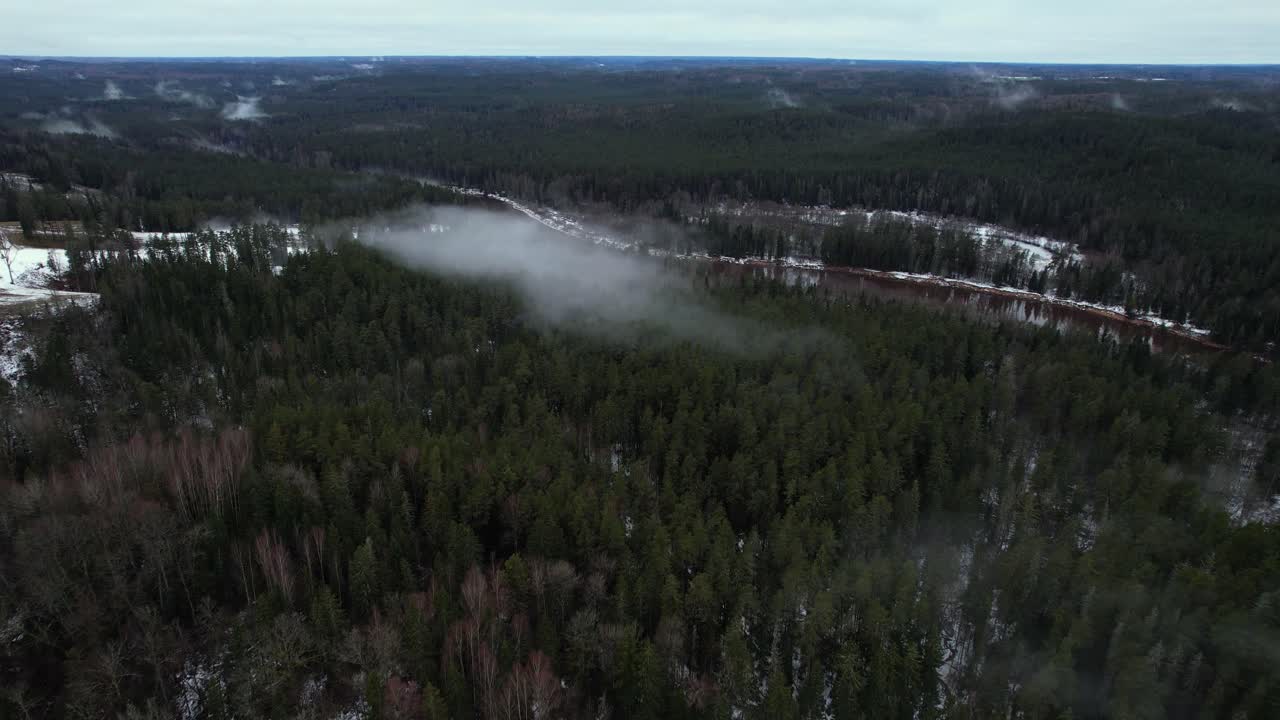 A dense forest shrouded in mist, creating an atmospheric view of treetops and bare branches under an overcast sky.