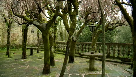 pink blossoms in a mossy garden