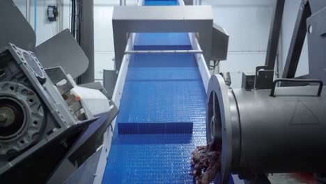 industria pesquera: un selector automatizado de filetes de pescado, separa y mueve las partes de mariscos