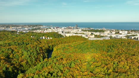 broad aerial view of gdynia's vibrant autumn forest with urban skyline and coastline stretching along the ocean under clear skies