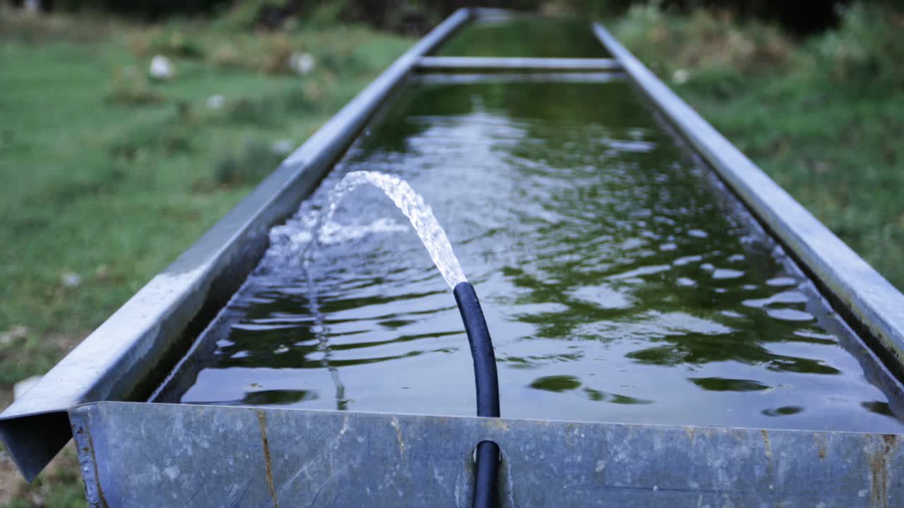 동물이 마실 물을 채우는 여물통