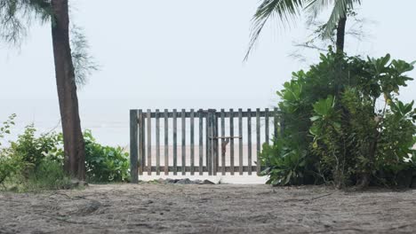 antigua puerta de madera junto al mar en la playa