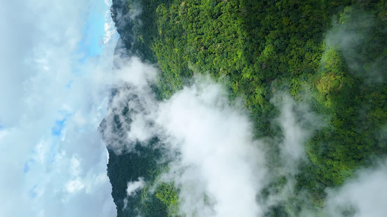 nubes moviéndose rápidamente sobre un bosque verde exuberante en un día de cielo azul claro, lluvia acumulando nubes sobre el parque nacional de tailandia, 9:16 retrato vertical video 4k redes sociales