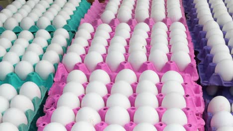 cartons of white eggs for sale at a grocery store