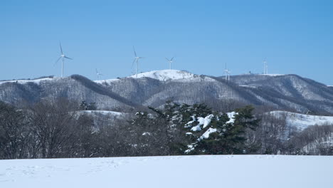 wind turbines rotating slowly on hill at daegwallyeong sky ranch, korea