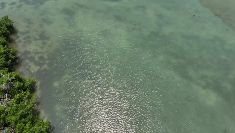 Vista-Aérea-De-La-Bahía-De-Estero-Y-La-Construcción-De-Un-Puente-Cerca-Del-Golfo-De-México