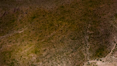 tomas aéreas de drones desde el suelo del desierto hasta las montañas del cañón de roca roja durante el día en las vegas, nv