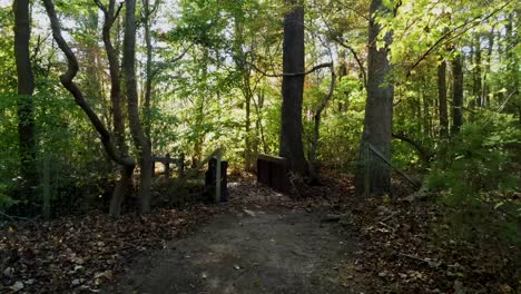 trail entrance to a walk in the woods