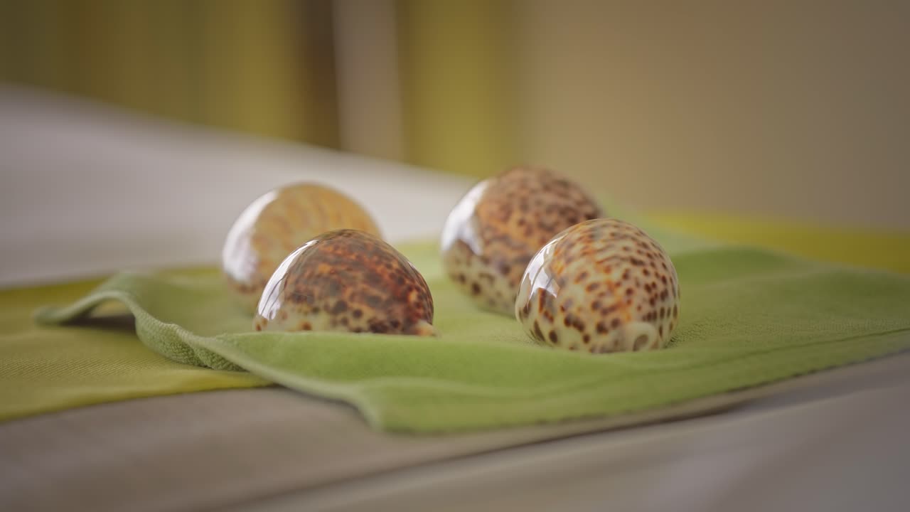 conchas de cowrie en toalla verde en la cama de masaje, de cerca