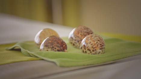 conchas de cowrie en toalla verde en la cama de masaje, de cerca
