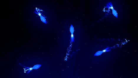 squid illuminated with color light in the underwater, cg animation, loop