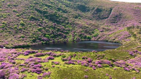 irlanda lugares épicos bay lough, lago de montaña en el knockmealdown montañas en la frontera de waterford tipperary, un alboroto de colores en verano