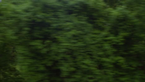 Fahrplatte-Für-Greenscreen:-Fensterblick-Auf-Grüne-Bäume