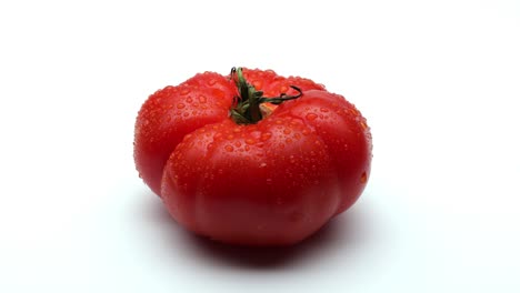 은 토마토 (루핑)