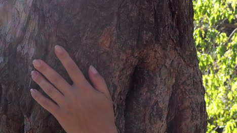 hand on tree trunk in forest