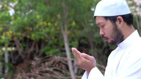 young asian muslim