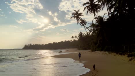 man running on the beach at sunset time - silent beach, sri lanka