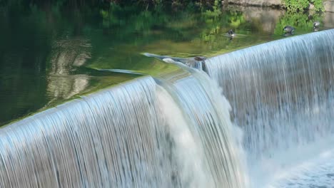 waterfall at ridge avenue entrance to wissahickon creek