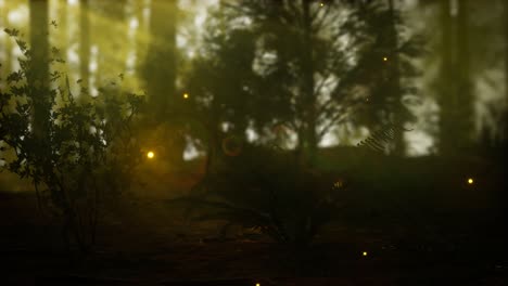 firefly in misty forest with fog