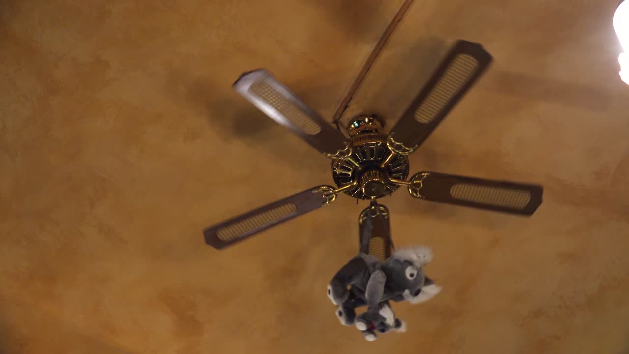 juguete en el ventilador del techo. 4k.