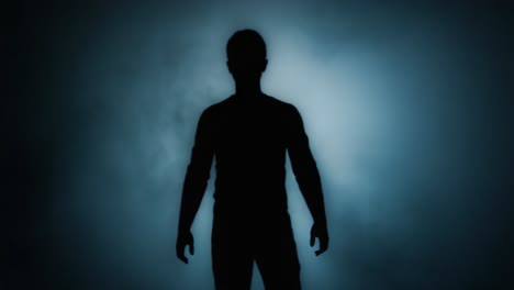 a mysterious silhouette emerges from the fog, capturing the essence of intrigue and suspense in an enigmatic setting, perfect for evoking curiosity and imagination