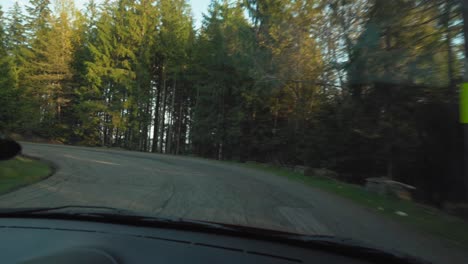 driving through a forest on a winding road