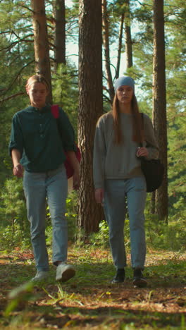 amigos caminando por el bosque iluminado por el sol, uno con mochila y tela rojas, otro con pañuelo azul, expresiones enfocadas mientras la luz del sol se filtra a través de los árboles y se refleja suavemente en sus rostros