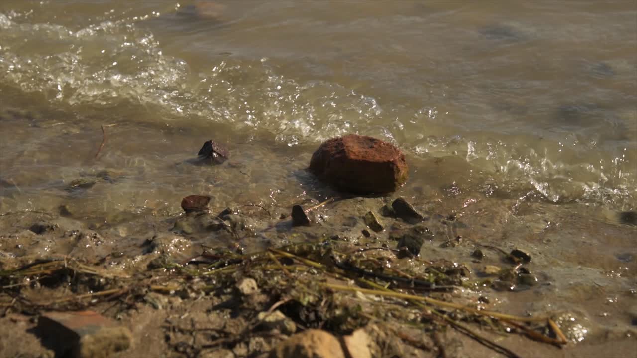 Lake St Claire, singleton