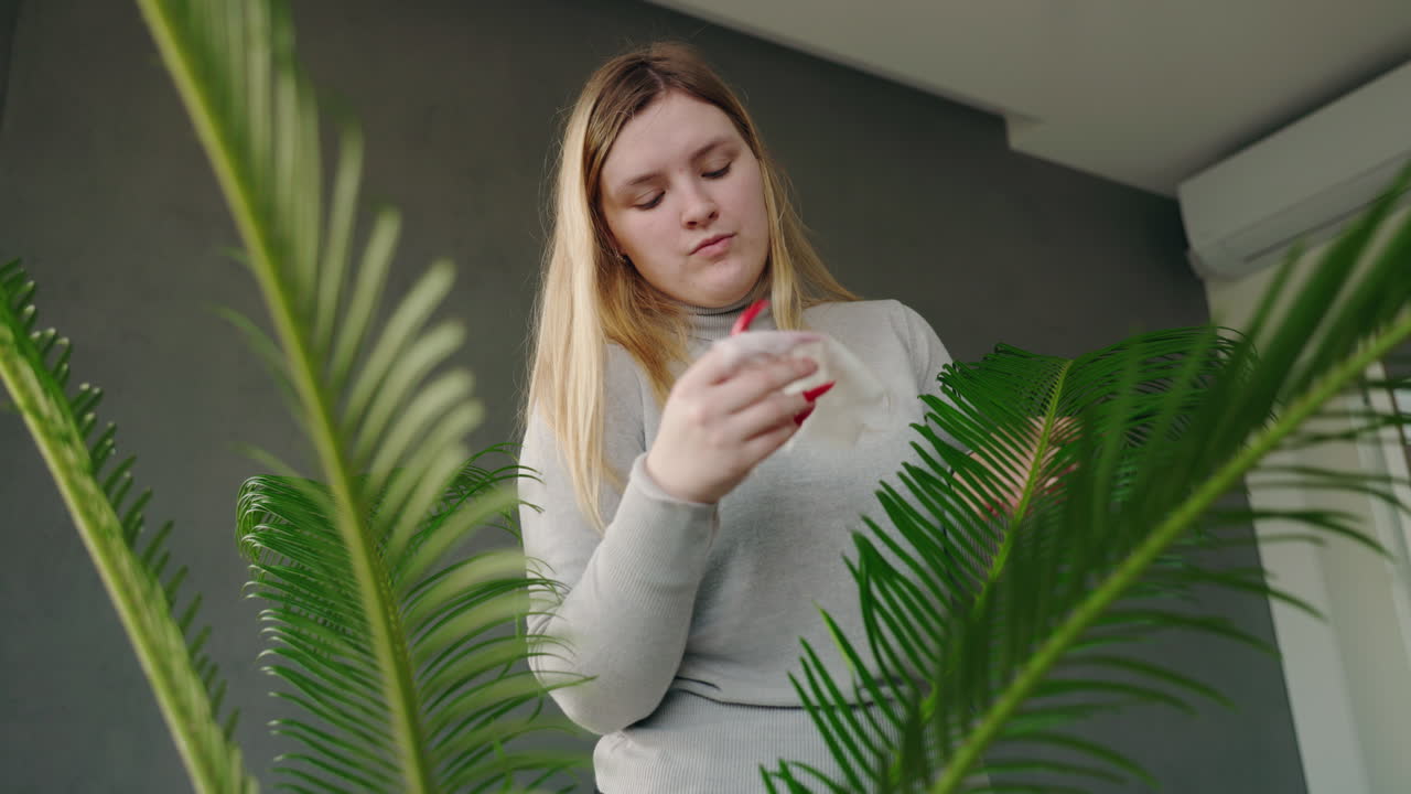 Woman Cleaning a Palm Plant