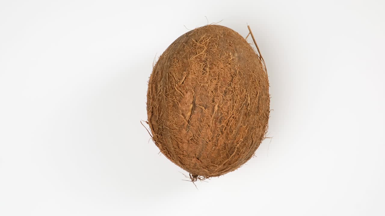 coco redondo maduro sobre un fondo blanco, vista de arriba