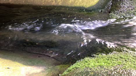 Regenwasser-Fließt-Und-Kräuselt-Sich-über-Steine,-Die-Blätter-Und-Andere-Trümmer-Tragen