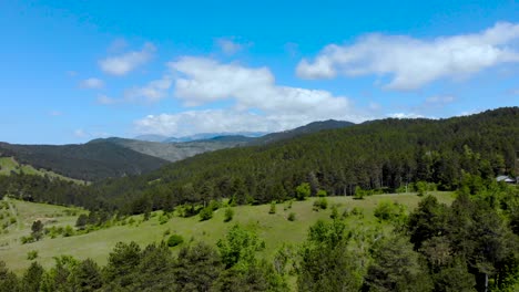 paradise mountain landscape with green meadows and pine trees forest on beautiful hills in balkans