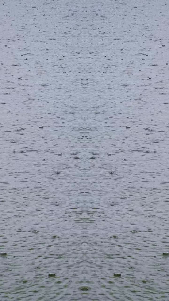 Raindrops fall on lake with mirror effect, Vertical weather background