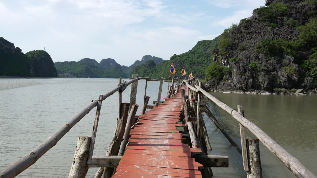 Wood deck footbridge Cat Ba national park flora sanctuary Vietnam Southeast Asia travel