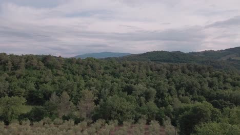 aerial drone shot fly over foreground trees and hold shot on forest in umbria, italy