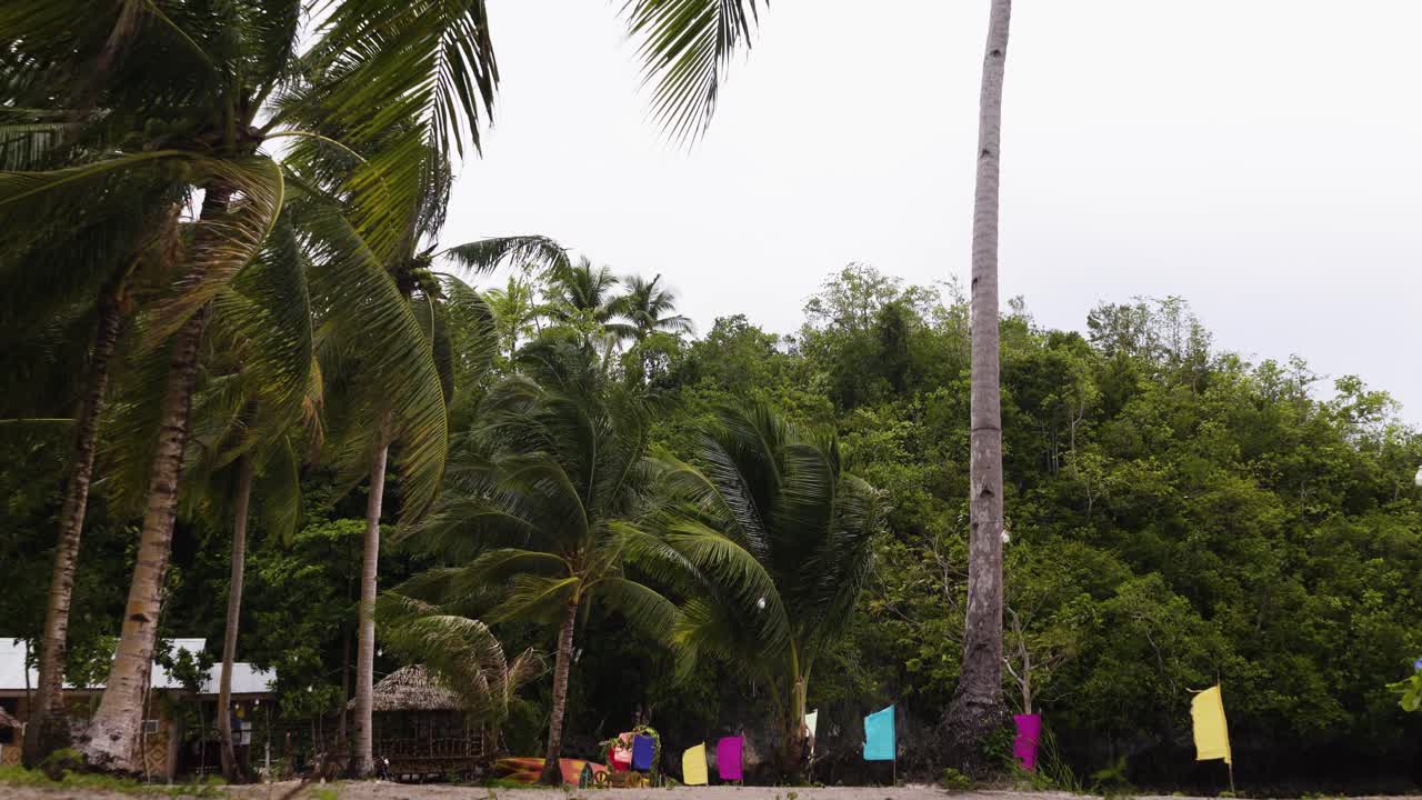 cocoteros y empavesados coloridos soplados por el viento en la playa en filipinas