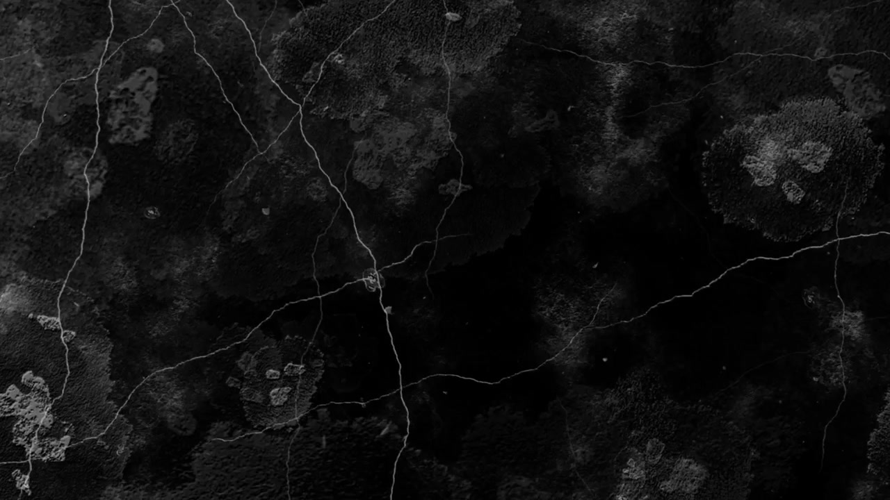Textura abstracta de mármol negro con vetas blancas en movimiento