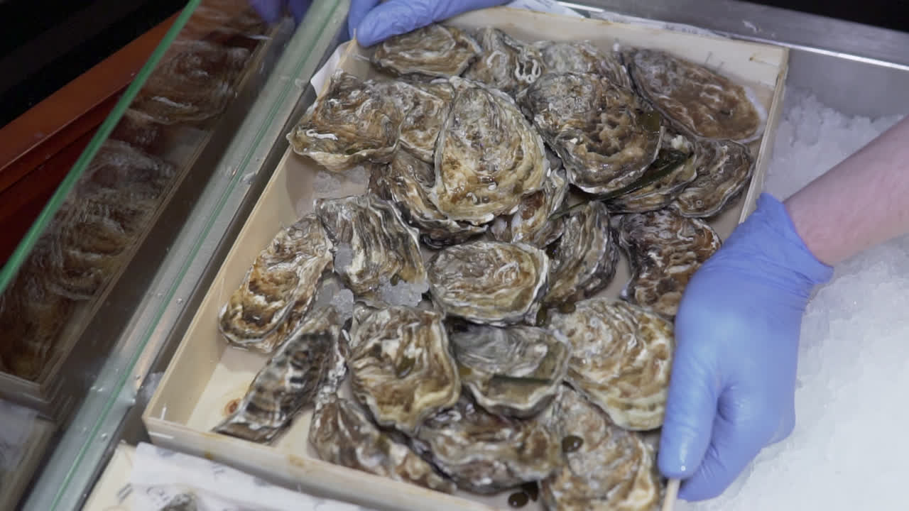 placing a box of oysters on ice, slow motion 1080p