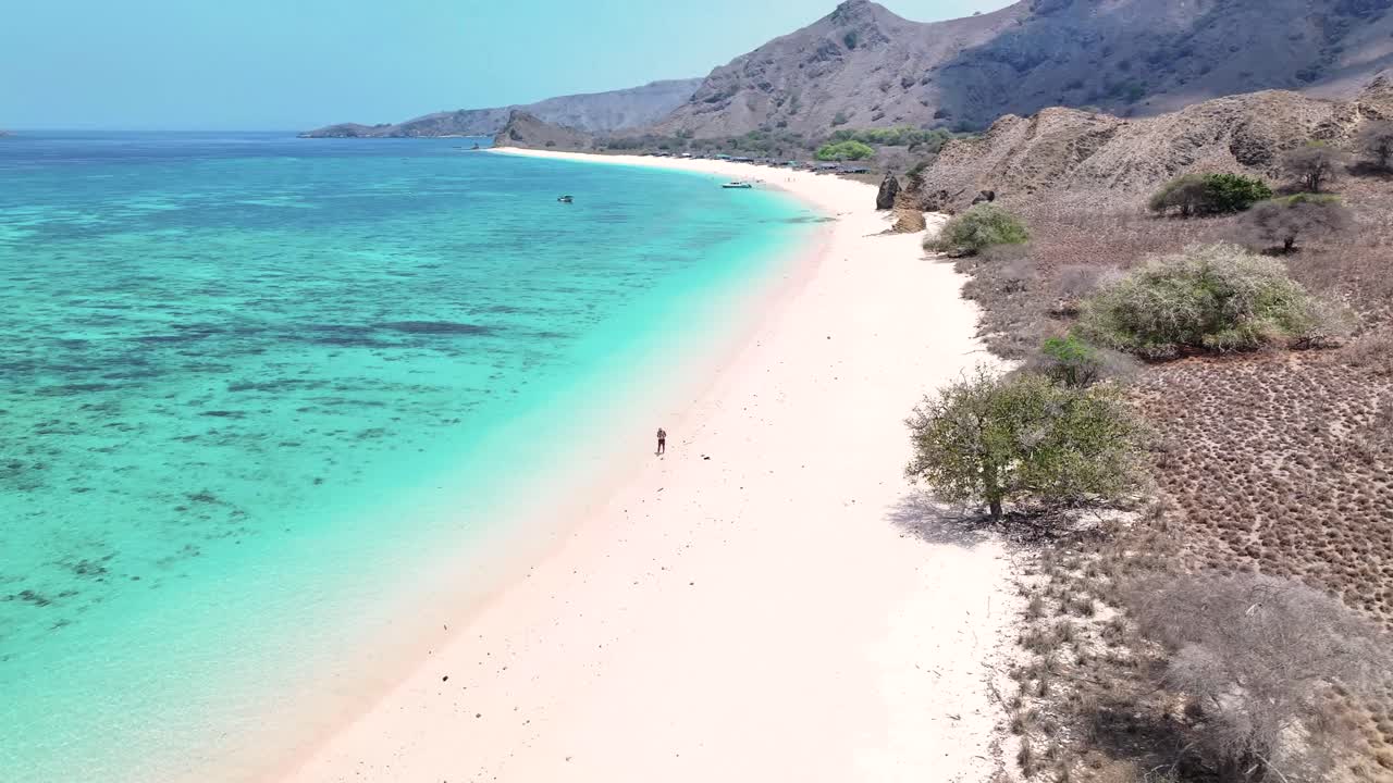 Beautiful aerial reveal of man walking alone on the Pink Beach in Komodo Island, Indonesia.