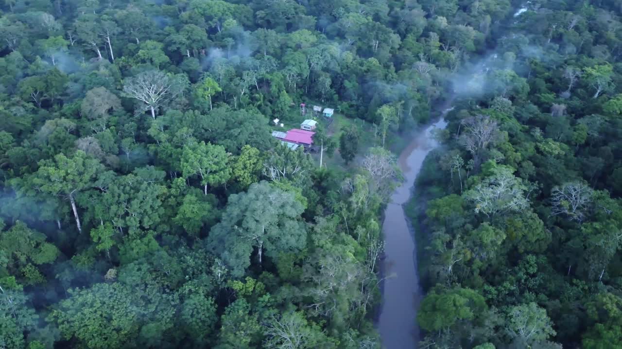 River With Rainforest Near Iquitos, Peru - aerial drone shot